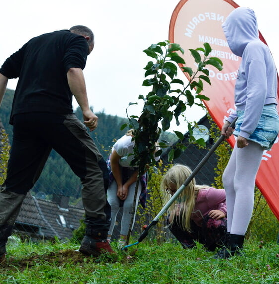 Ein Apfelbaum wird auf dem Schulgelände gepflanzt. (Foto: Iris Kannenberg)