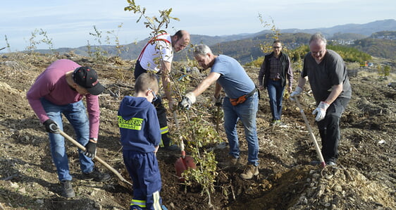 Der Generationenwald wird gepflanzt. (Foto: Iris Kannenberg)