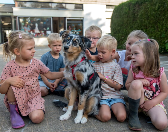 Für die Kinder und das Mitarbeitenden-Team in der Evangelischen Kindergarten Hochstraße ist Emma als ausgebildeter Begleit- und Therapiehund eine große Bereicherung im KiTa-Alltag (Foto: Büdenbender)