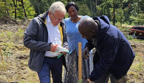 Klaus Majoress, der ehemalige Superintendent des Kirchenkreises, und Superintendent Arnold Mudogo pflanzen gemeinsam eine Winterlinde (Foto: Wolfgang Teipel)